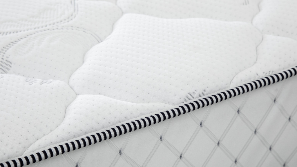 scale_1200 (8) (1).png